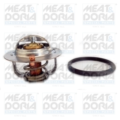 Thermostat, coolant